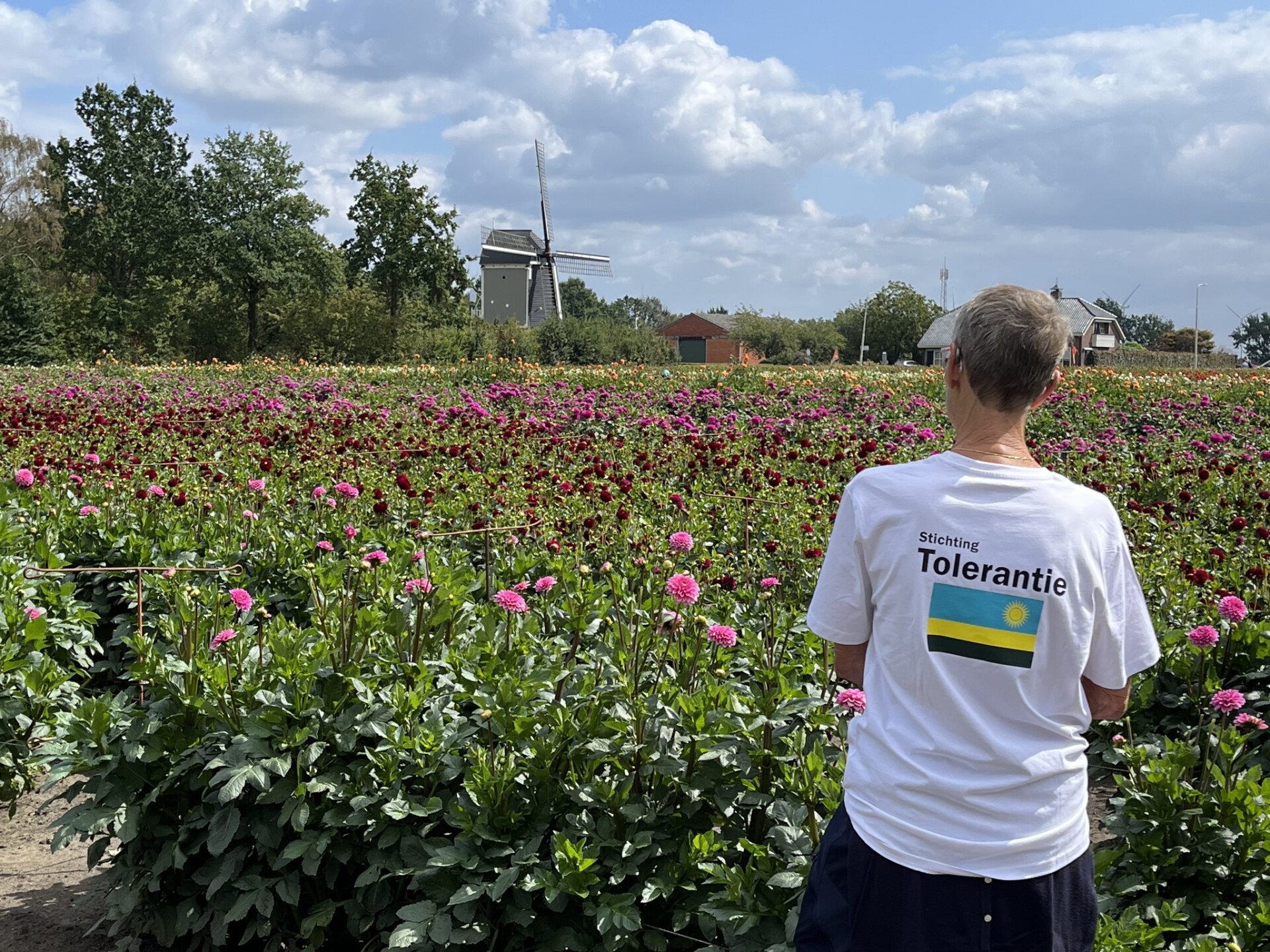 Dahliawandeltocht